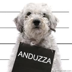 asta e asa..mai mult de umplutura ...da' e :rotfl:  :rotfl: our creations
