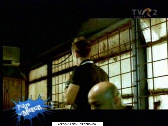 look groaza pozici andrei video
